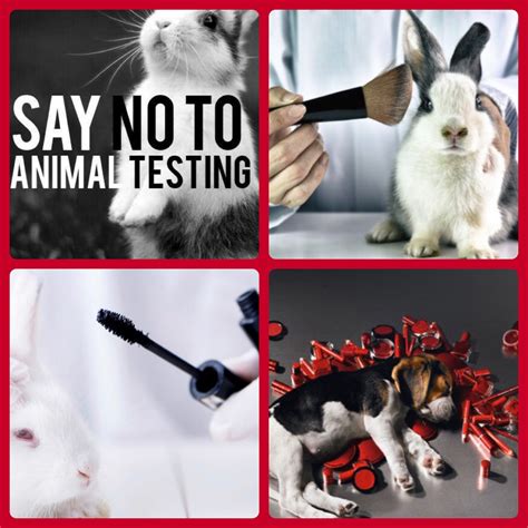 chanel animal testing policy.